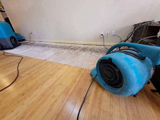 Professional Water Removal technician working in Dillard, GA